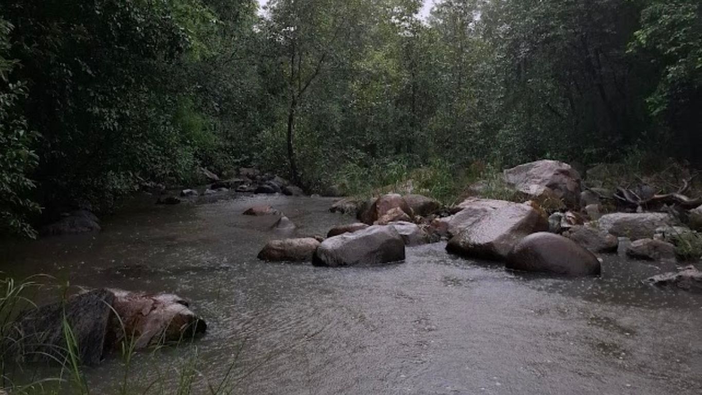 Trip Image 3